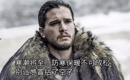 吃瓜的雪诺网红必须死,网红之路的悲情落幕 第2张 吃瓜的雪诺网红必须死,网红之路的悲情落幕 第2张